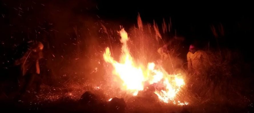 Frente a los incendios y el humo, el municipio de Escobar compartió recomendaciones para los vecinos