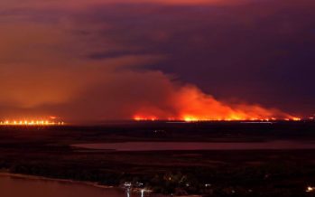 Detuvieron a un cuarto sospechoso por los incendios en el Paraná iniciando un nuevo foco