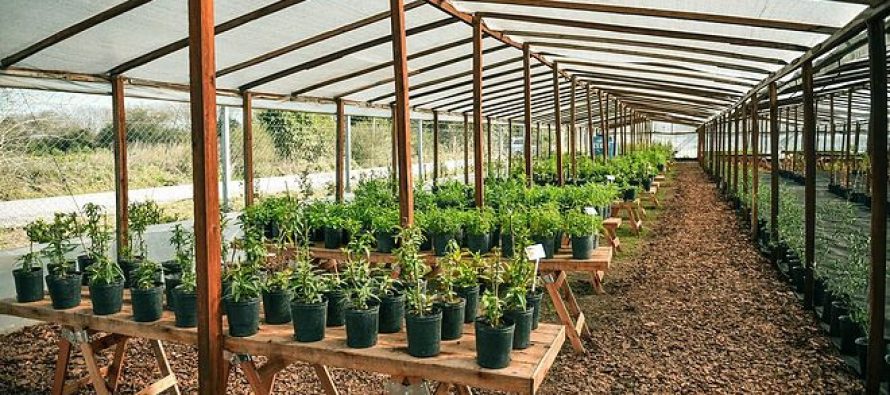 Escobar: abrió el segundo Vivero de Plantas Nativas