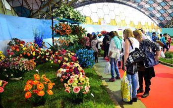 Este domingo ReCreo transmitirá en vivo desde la Fiesta Nacional de la Flor