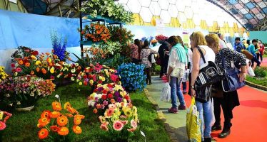 La Fiesta Nacional de la Flor se realizará del 30 de septiembre al 10 de octubre