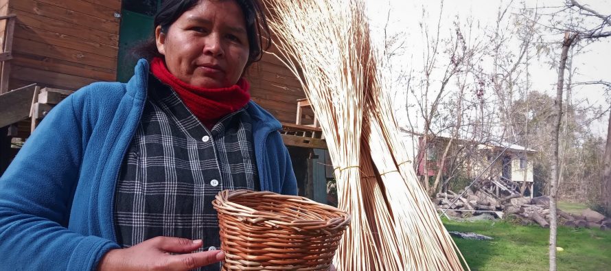 Celebran los primeros seis meses de cestería en el Arroyo Caraguatá