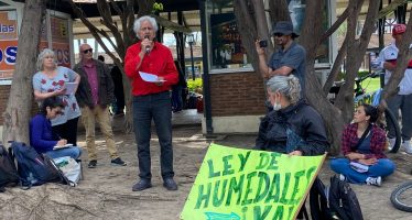 Denuncian que el municipio de Tigre quiere avanzar con emprendimientos inmobiliarios en el Delta