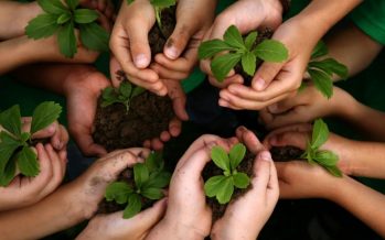 Día de la Conciencia Ambiental: ¿qué se conmemora?