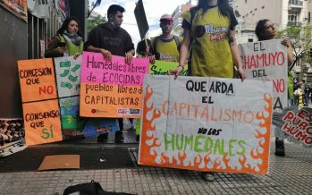Ley de Humedales: se retomará el debate en Diputados