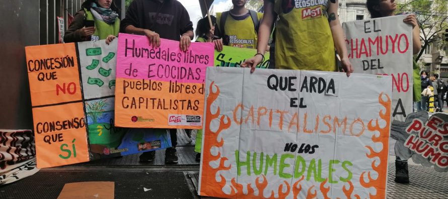 Ley de Humedales: se retomará el debate en Diputados