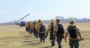 El fuego llegó al Delta de Tigre y San Fernando