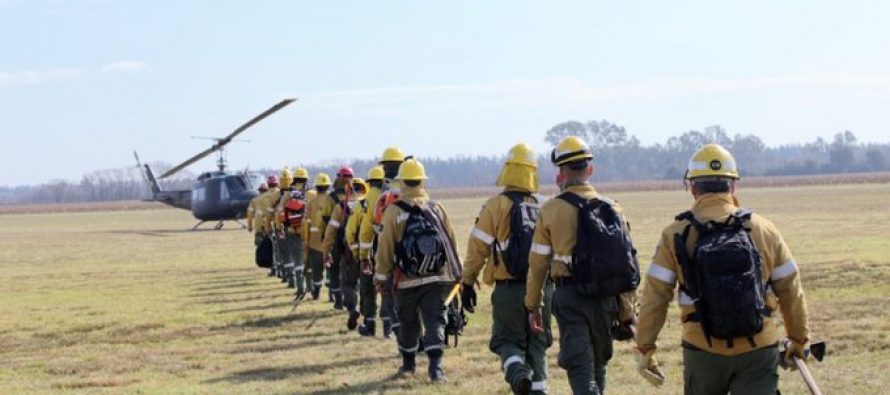 El fuego llegó al Delta de Tigre y San Fernando