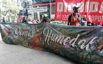 A un mes del pedido de emplazamiento para la Ley de Humedales: ¿qué está sucediendo con su tratamiento?