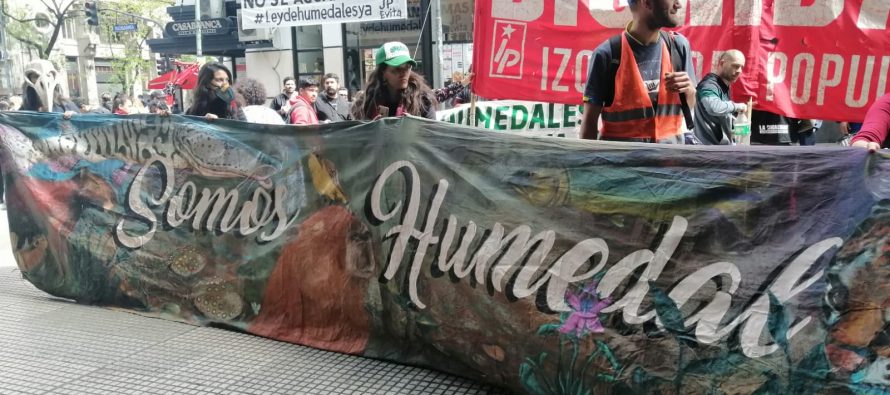 A un mes del pedido de emplazamiento para la Ley de Humedales: ¿qué está sucediendo con su tratamiento?