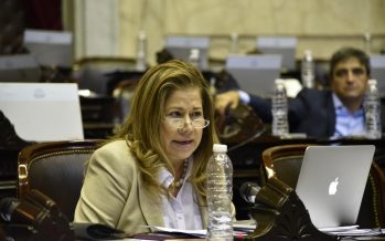 Camaño apuntó al «lobby de las mineras» por interrupción del debate sobre humedales en Diputados