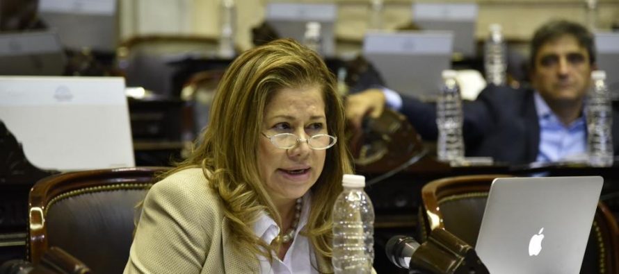 Camaño apuntó al «lobby de las mineras» por interrupción del debate sobre humedales en Diputados