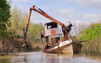 Avanzan las tareas de destronque y remoción en el Delta
