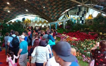 ¿Cómo fue la Fiesta Nacional de la Flor?