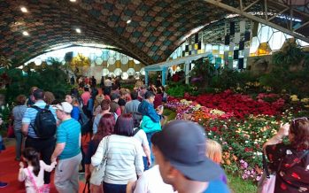 El Presidente visitó la Fiesta Nacional de la Flor y vio con estudiantes «Argentina, 1985»