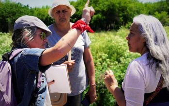 Cuenca del Río Luján: jornada de trabajo en José C Paz