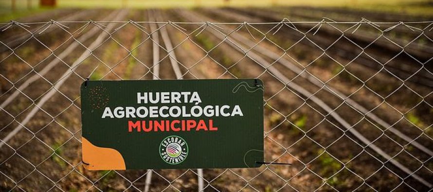 Escobar lanza un programa de voluntariado en la huerta agroecológica de Ingeniero Maschwitz