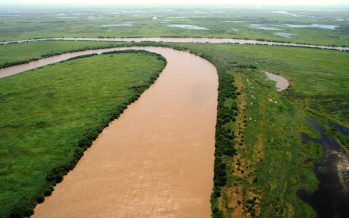Firmaron un convenio para mejorar la producción en el Delta del Paraná