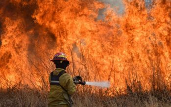 El Gobierno oficializó la creación de una Unidad de Análisis y Prevención de Delitos Ambientales