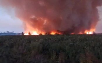 Combaten focos de incendio en el Parque Nacional Ciervo de los Pantanos