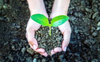 Se celebra el Día Mundial de la Educación Ambiental