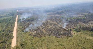 Fallo histórico: la Corte Suprema ordenó frenar las quemas en el Delta con un plan integral entre Nación y provincias