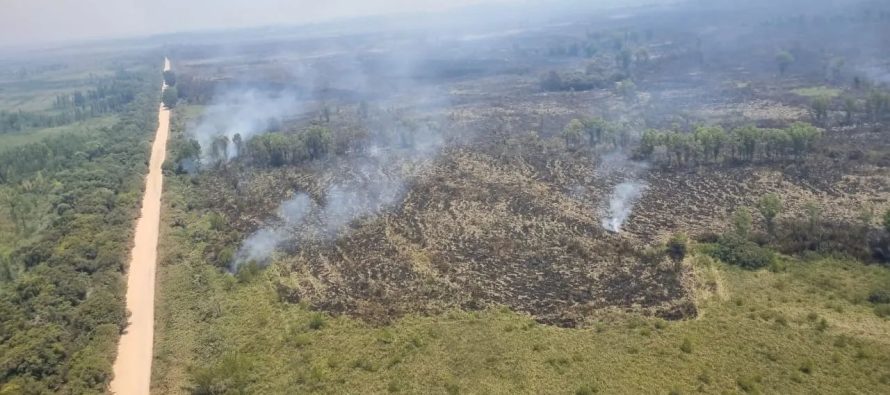 Fallo histórico: la Corte Suprema ordenó frenar las quemas en el Delta con un plan integral entre Nación y provincias