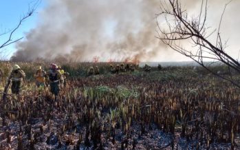 Sigue activo el fuego en el Parque Nacional Ciervo de los Pantanos