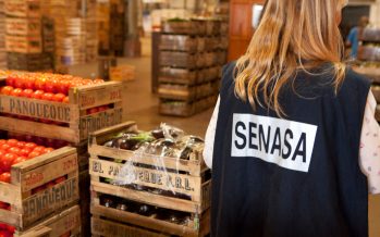 Senasa lanzó pautas para la prevención y el cuidado de la salud frente a la salmonelosis