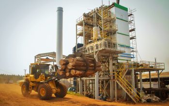 Biogás: una alternativa sustentable para satisfacer la demanda eléctrica a bajo costo