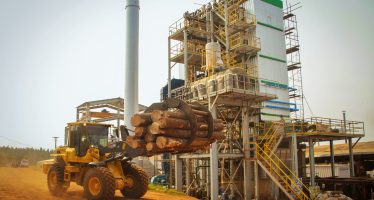 Biogás: una alternativa sustentable para satisfacer la demanda eléctrica a bajo costo