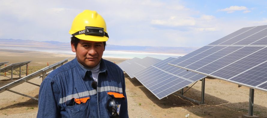 Crean programa para impulsar «empleos verdes»