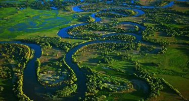 Hay que recuperar y regenerar los humedales, el hogar del 40% de toda la biodiversidad