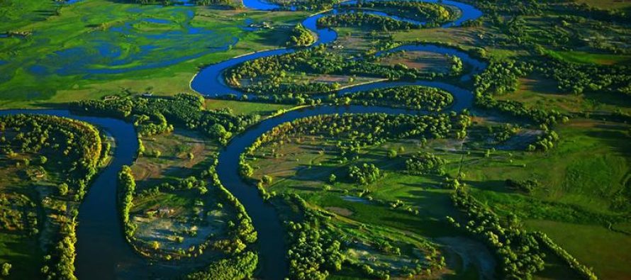Hay que recuperar y regenerar los humedales, el hogar del 40% de toda la biodiversidad