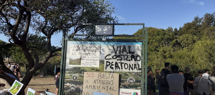Vecinos de Vicente López denuncian que gobierno porteño podría dañar el ecosistema de humedales