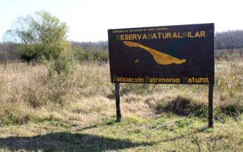 Pilar: festejos por el Día de los Humedales en la Reserva Natural