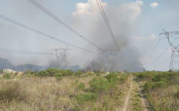 Investigan cómo se originaron los incendios que provocaron los masivos cortes de luz
