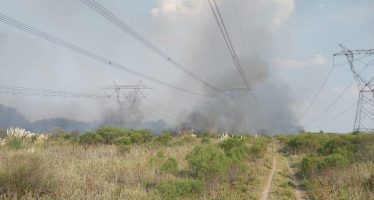 Massa solicitó a la Justicia que investigue los incendios en el Delta que generaron un apagón masivo