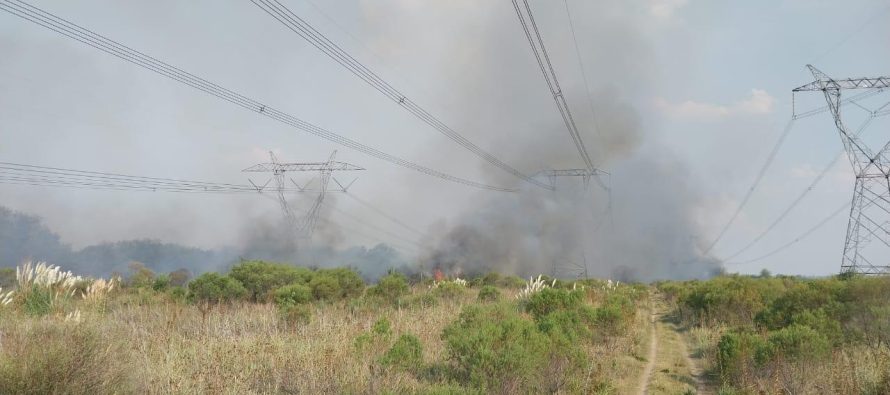 Massa solicitó a la Justicia que investigue los incendios en el Delta que generaron un apagón masivo