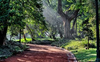 Declaran al Jardín Botánico como el primer «refugio climático» de la ciudad de Buenos Aires
