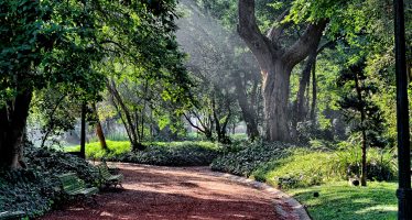 Declaran al Jardín Botánico como el primer «refugio climático» de la ciudad de Buenos Aires