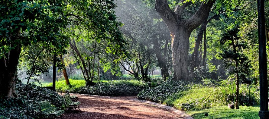 Declaran al Jardín Botánico como el primer «refugio climático» de la ciudad de Buenos Aires