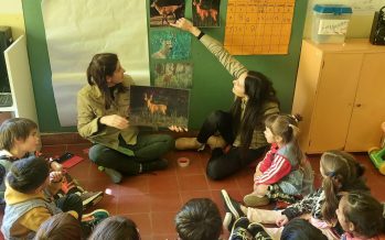 «Queremos que las personas conozcan el ciervo de los pantanos para que encuentren sus propias razones para defenderlo»