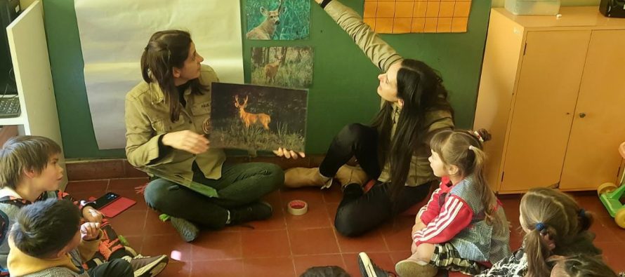«Queremos que las personas conozcan el ciervo de los pantanos para que encuentren sus propias razones para defenderlo»