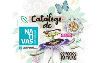 La Provincia presentó el primer catálogo de nativas bonaerenses
