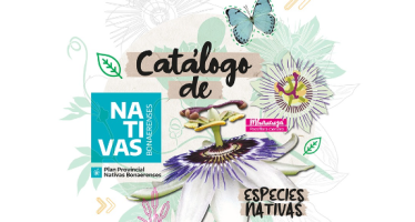 La Provincia presentó el primer catálogo de nativas bonaerenses