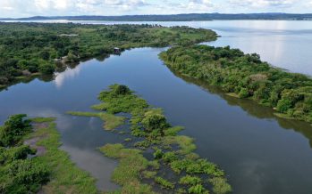 Anuncian iniciativa para recuperar 300.000 kilómetros de ríos, lagos y humedales para 2030
