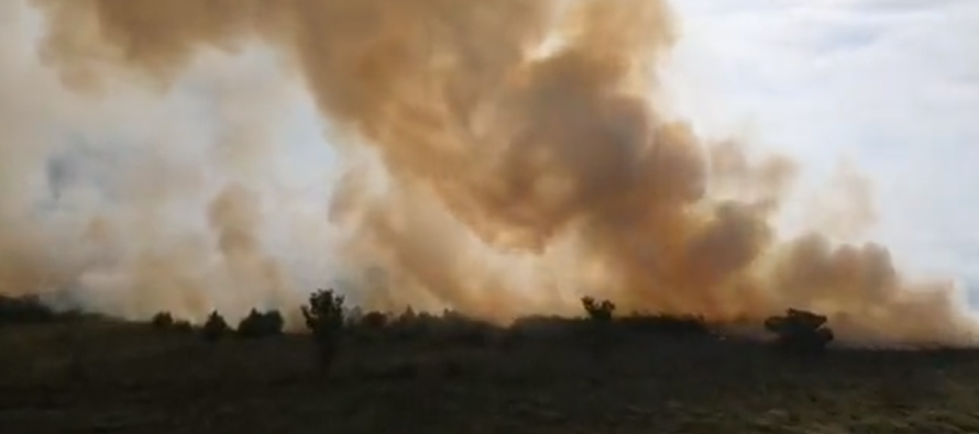 Los focos de incendio en el Delta aumentan la presencia de humo en el AMBA