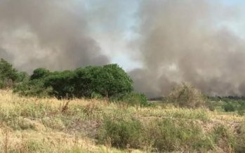 Incendio de pastizales cerca de Atucha en Zárate: «La situación está bajo control»