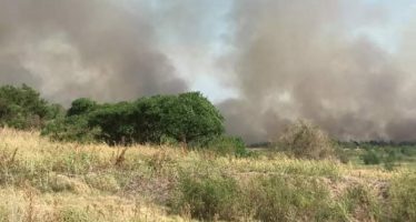 Incendio de pastizales cerca de Atucha en Zárate: «La situación está bajo control»